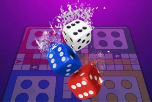 Ludo Dice Controller and its fairplay